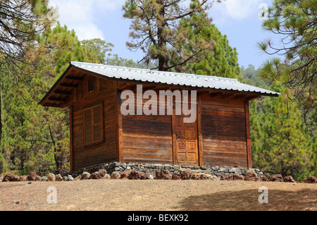 Log cabin in the forest Stock Photo