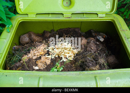 Compost Stock Photo