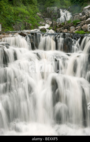 Sunbeam Falls, Stevens Canyon, Paradise area, Mount Rainier National Park, Washington Stock Photo