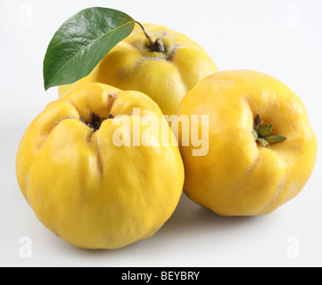 quince on a white background Stock Photo