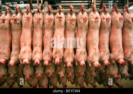 Rungis Market on the outskirts of Paris is the largest wholesale meat, fish and vegetable market in the world. Stock Photo