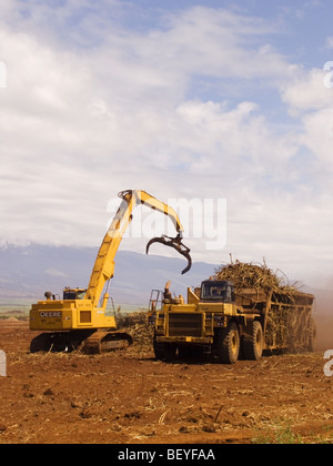 Sugar Cane Harvesting Maui, Hawaii Stock Photo