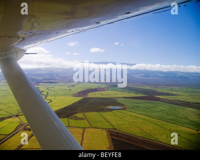 Sugar cane farming, Maui, Hawaii, Aerial View Stock Photo