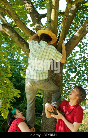 teenage boy climbing a tree, his friends giving him a bunk-up Stock Photo