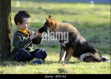 Eurasier, Eurasian (Canis lupus familiaris) sniffing at the hands of a boy sitting in front of it.