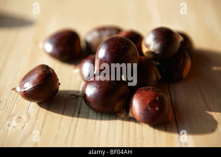 Fresh organic Chestnuts (Castanea sativa)  Stock Photo