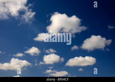 Cumulus humilis white fluffy Clouds in deep blue polarised sky Stock Photo