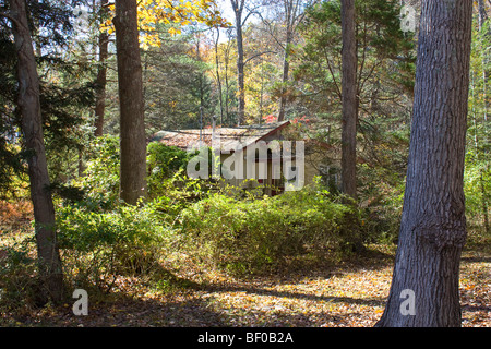 akn 1130R1 Abandoned House in woods in autumn Stock Photo