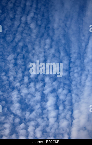 Stratocumulus white fluffy Clouds in deep blue polarised sky Stock Photo