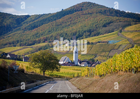 Church and Katzenthal Vineyards lanscape along the route des vins villages, Autumn, Alsace Haut Rhin, France 099602 Alsace Stock Photo