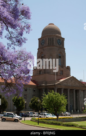 Pretoria City Hall with a Jacaranda in the foreground, South Africa Stock Photo