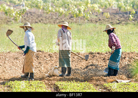 people's life around Inle Lake, Myanmar. Stock Photo