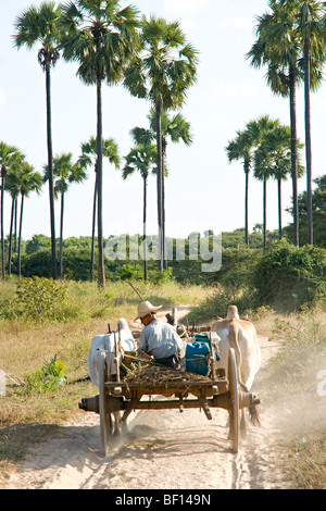 people's life around Inle Lake, Myanmar. Stock Photo