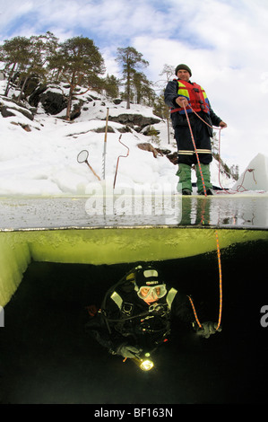 split shot from ice diving, ice diver doing rope signals, White Sea, Russia Stock Photo