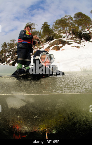 split shot from ice diving, ice diver, White Sea, Russia Stock Photo