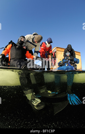 ice diving, split shot from ice divers and safty rope, White Sea, Russia Stock Photo