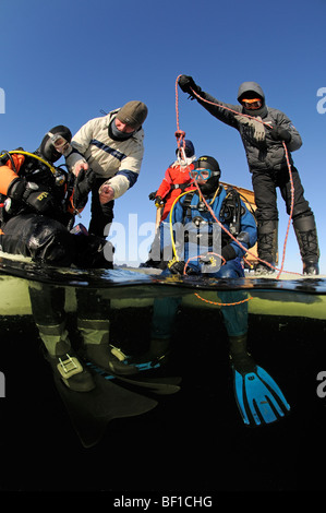 ice diving, split shot from ice divers and safty rope, White Sea, Russia Stock Photo