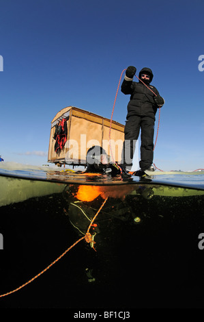 ice diving, split shot from ice divers and safty rope, White Sea, Russia Stock Photo