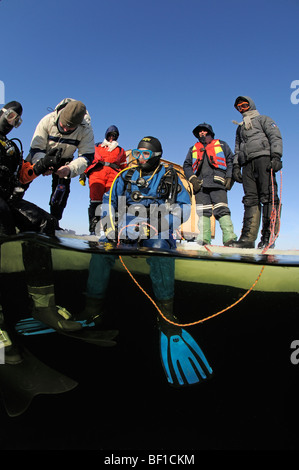 ice diving, split shot from ice divers and safty rope, White Sea, Russia Stock Photo