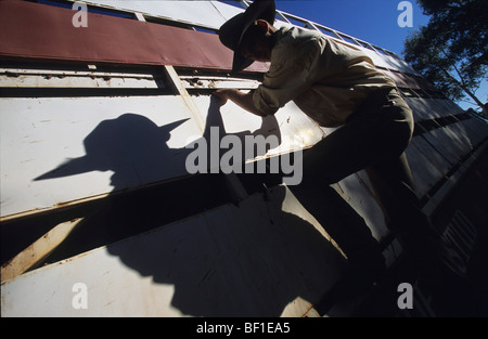 Cowboy hanging on cattle truck with shadow, Queensland Australia Stock Photo