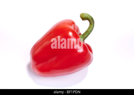 Single Red Pepper isolated against white background Stock Photo