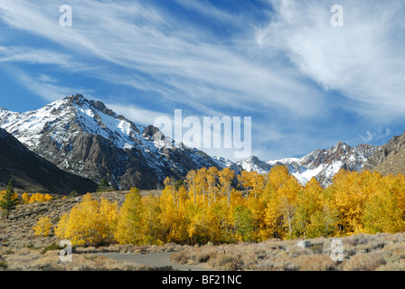 Autumn vista in McGee Creek valley, Sierra Nevada Mountains, California Stock Photo