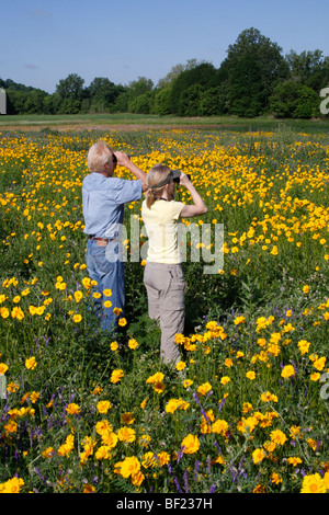 Two Birdwatchers in Field of Coreopsis Flowers - Vertical Stock Photo