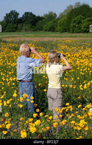 Two Birdwatchers with Binoculars in Field of Coreopsis Flowers - Vertical Stock Photo