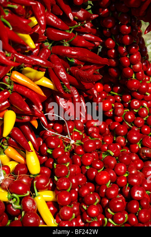 strings of dried red chillies, Capsicum annuum or chili peppers air drying Stock Photo