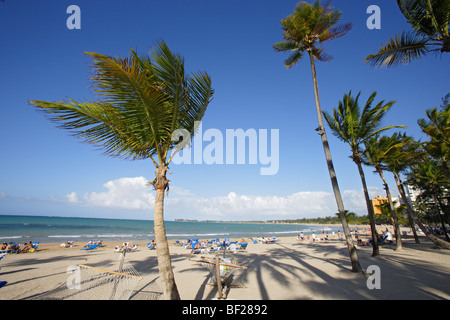 People and palm trees at the beach under blue sky, Isla Verde, Puerto Rico, Carribean, America Stock Photo