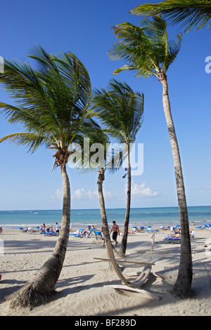 People and palm trees at the beach under blue sky, Isla Verde, Puerto Rico, Carribean, America Stock Photo