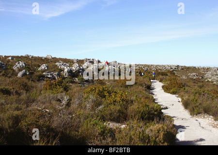 Pathway for people to walk on Table Mountain, Cape Town, Western Cape Province, South Africa Stock Photo