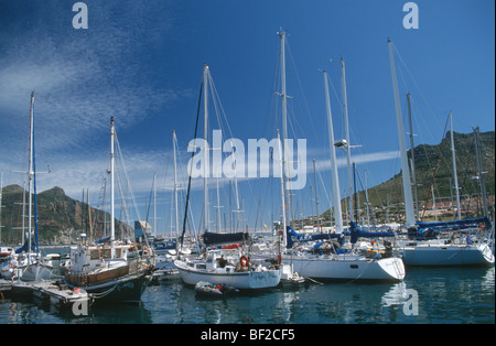 Boats in yacht basin, Hout Bay, Cape Town, Western Cape Province, South Africa Stock Photo