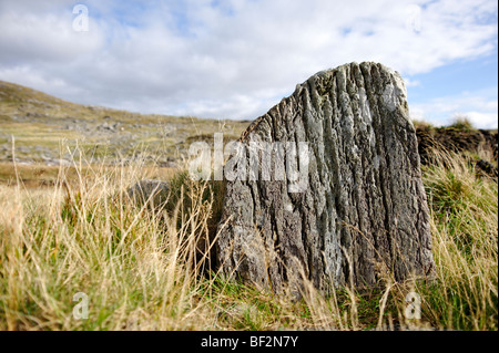 Detail of texture on a rock. Connemara. Co Galway. Ireland 2009. Stock Photo