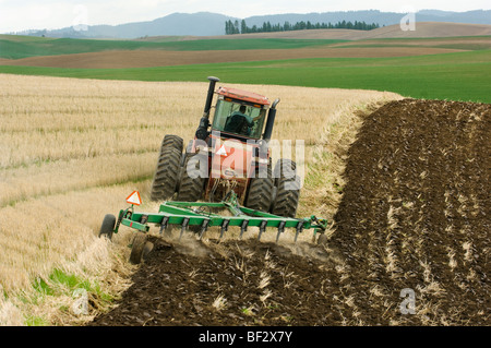 A tractor pulling a chisel plow in a field of wheat stubble prepares the field for the next planting, a crop of garbanzo beans. Stock Photo