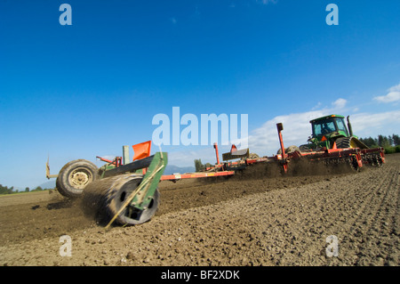 Agriculture - A tractor pulling a mulcher prepares a seedbed for planting potatoes / near Burlington, Washington, USA. Stock Photo