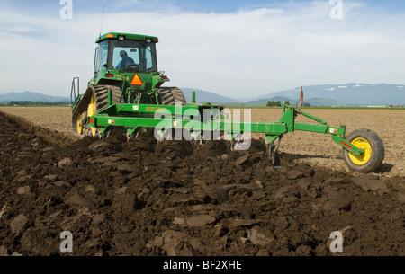 A John Deere tracked tractor pulling a moldboard plow prepares a seedbed for planting potatoes / Burlington, Washington, USA. Stock Photo