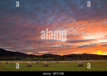 Agriculture - Vivid sunrise over a field with round hay bales and the Whitefish Mountain Range in the background / Montana, USA. Stock Photo