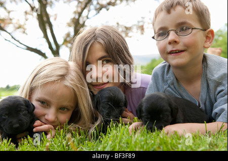 Children playing with puppies Stock Photo