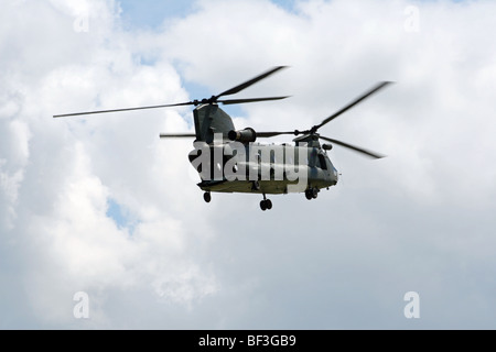 The Chinook is a very capable and versatile support helicopter that can be operated in many diverse environments. Stock Photo