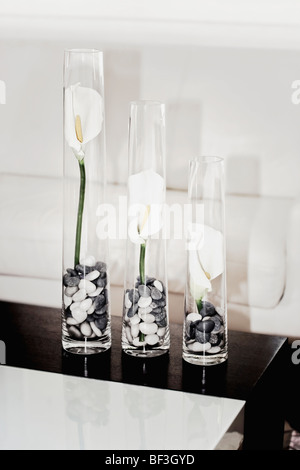Close-up of three vases Stock Photo