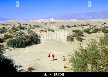 A hike among the sand dunes is a must do activity for visitors to Death Valley National Park, California, USA. Stock Photo