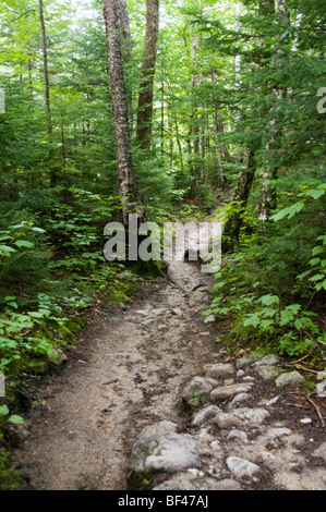 Appalachian Trail end point on Mt Katahdin, Baxter State Park, Maine USA Stock Photo