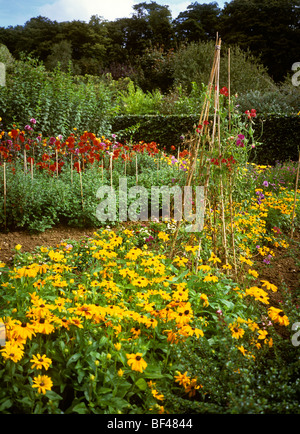 UK, England, Rutland, Exton, Barnsdale Gardens colourful floral planting Stock Photo