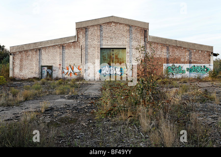 Old factory building, overgrown terrain, former Ausbesserungswerk repair shop of German Railways, closed in 2003, Duisburg-Weda Stock Photo