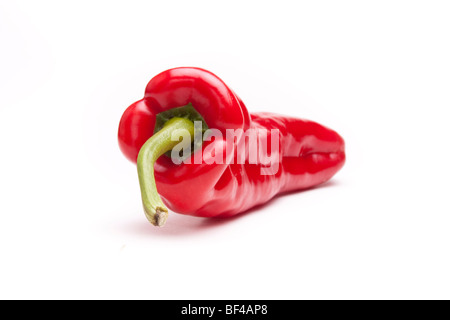 Single Large red sweet pepper isolated against white background. Stock Photo