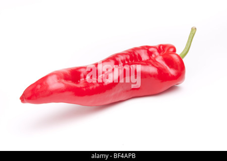 Single Large red sweet pepper isolated against white background. Stock Photo