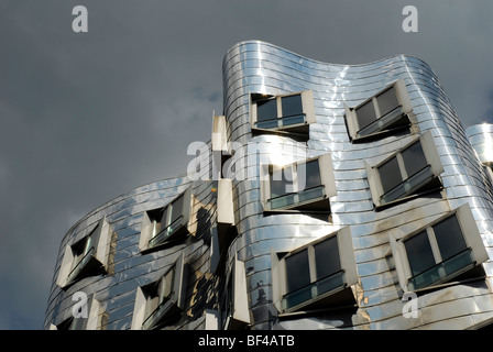 Neuer Zollhof, Arts and Media Centre Rheinhafen, building by the architect Frank O. Gehry, Gehry buildings at the Handelshafen, Stock Photo