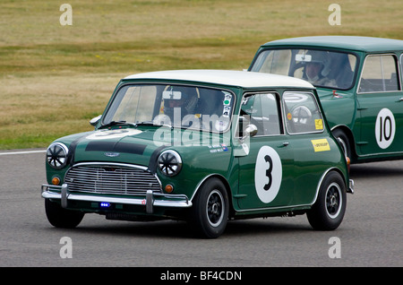 1961 Austin Mini Cooper S with driver Tiff Needell at the 2009 Goodwood Revival meeting, Sussex, UK. Stock Photo