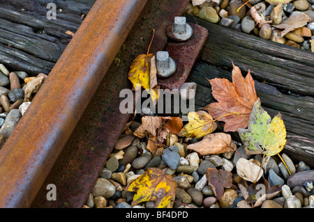 Autumn leaves on a disused railway line Stock Photo
